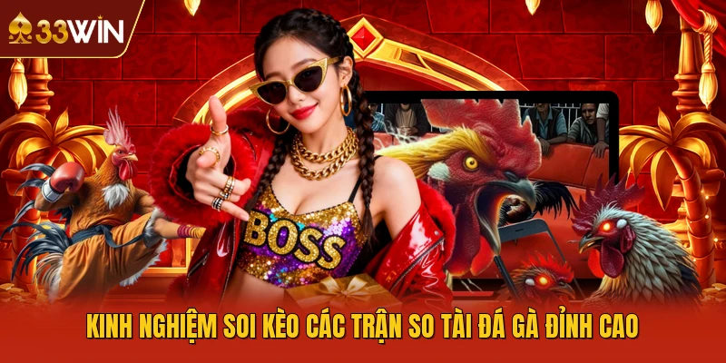 Kinh nghiệm soi kèo các trận so tài đá gà đỉnh cao